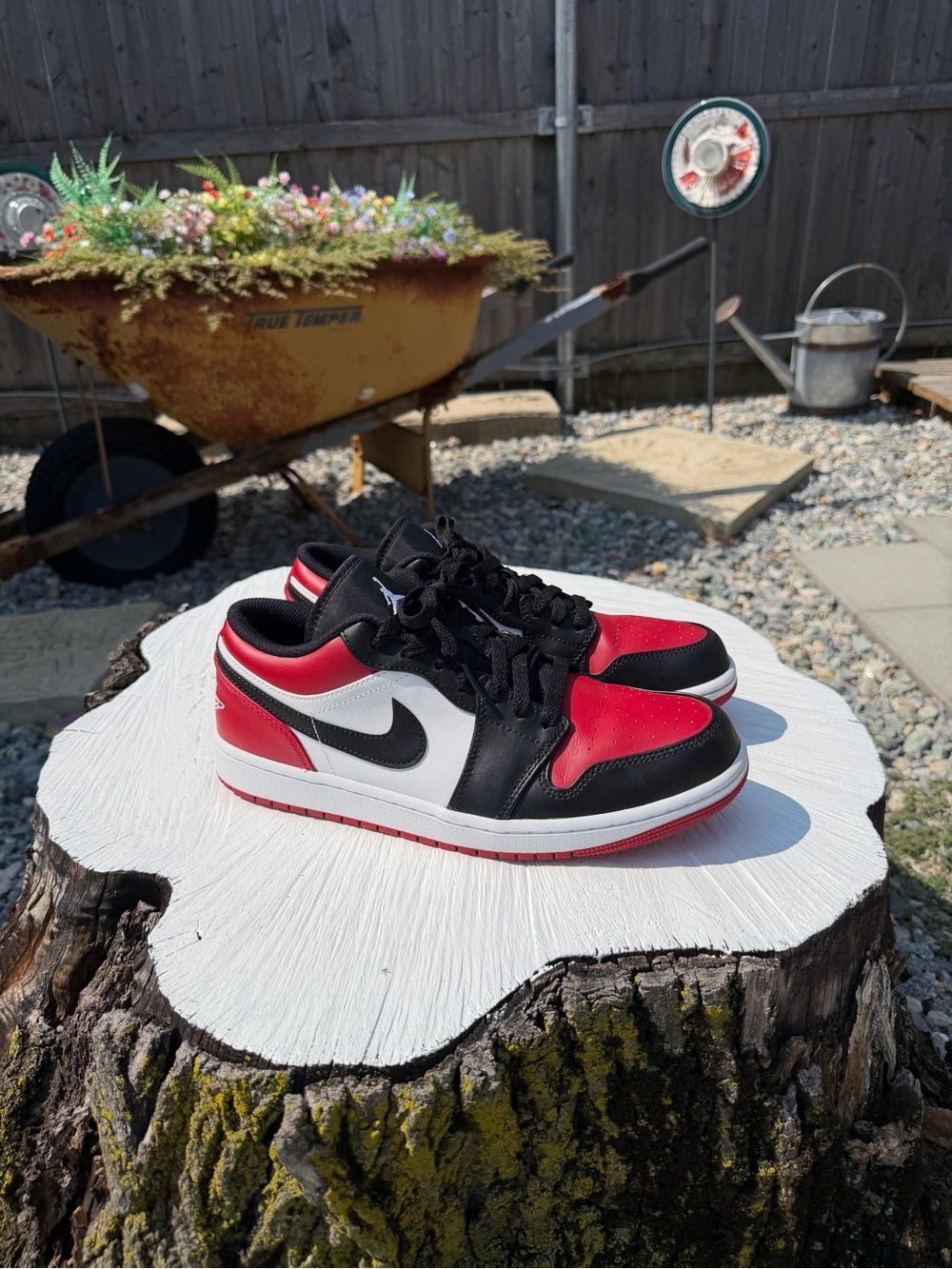 Air Jordan 1 low